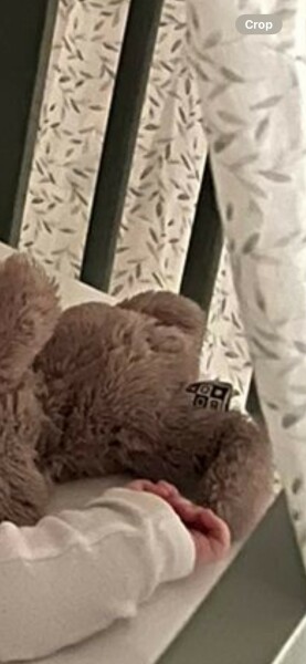 Help identifying soft toy company