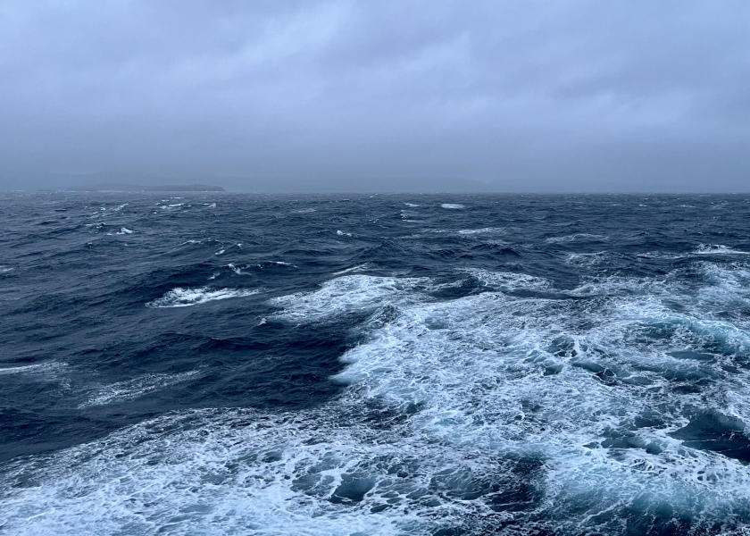 The Bluestocking. All gerbils welcome, must have own frou-frou skirt.