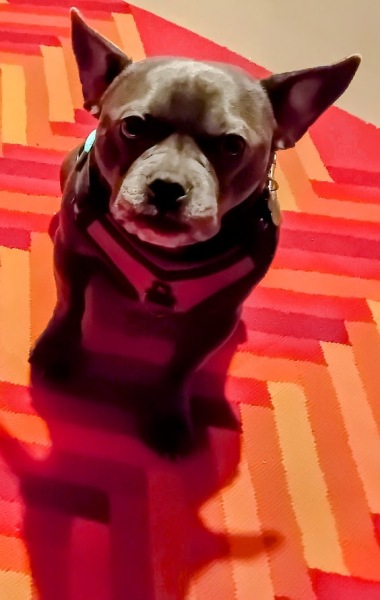 The Continuing Support Thread for Anyone Trying to Lead an Alcohol-Free Life Spring 2025