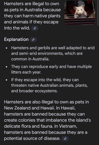 Hamsters are illegal?!