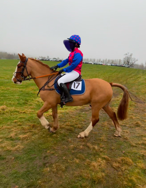 Pony Racing