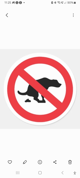 Neighbour’s dogs poo outside our house every day Wwyd?