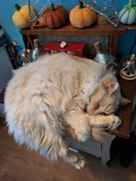 The Year Round Nigel Slater Discussion thread