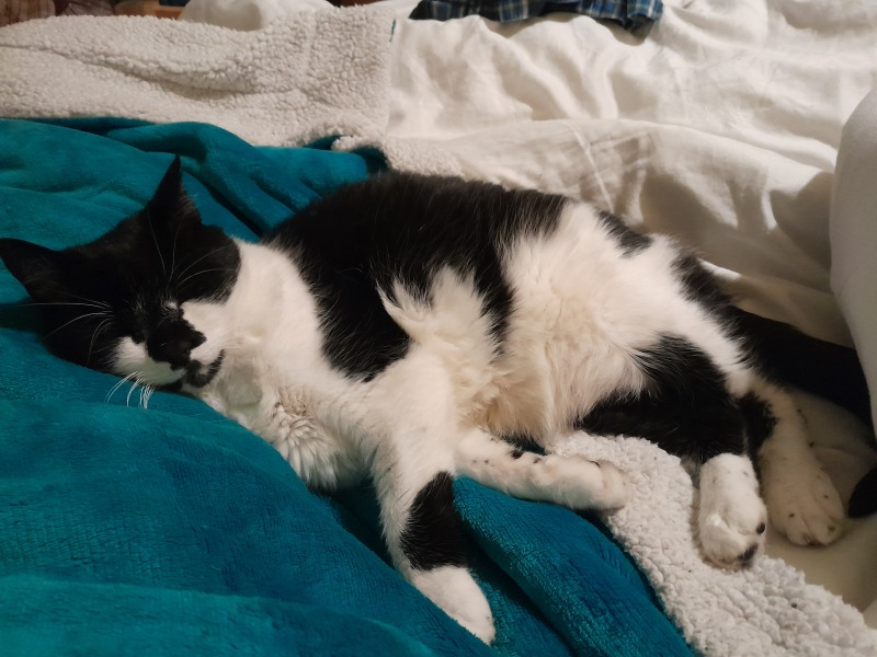 Any Witches here? Part 20