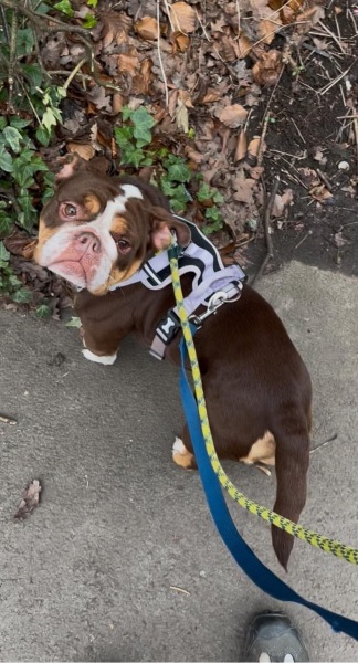 Thread 18 Starmer: All sides of the House agree apart from the Trump bootlickers