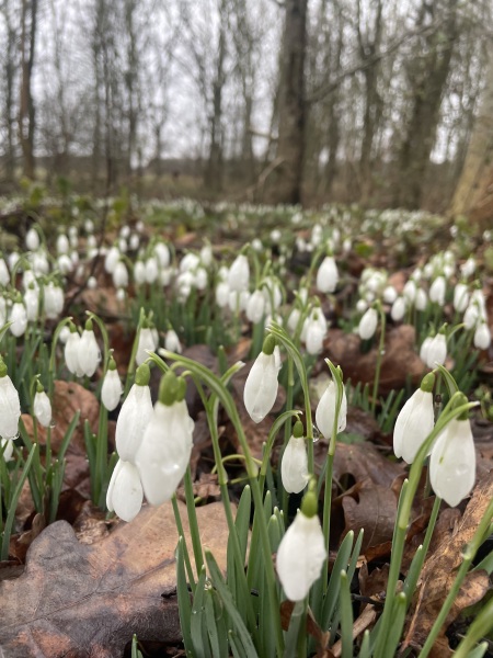 The Year Round Nigel Slater Discussion thread