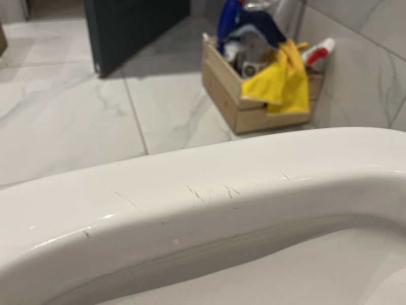 Help needed-  how to remove mysterious lines on toilet