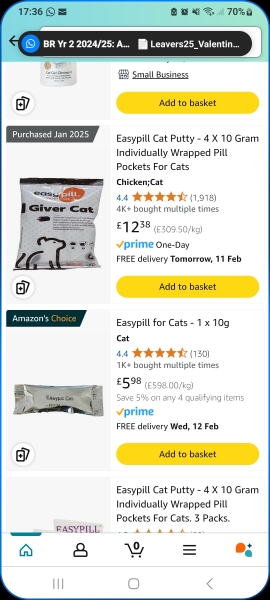 How to get a cat to take pills