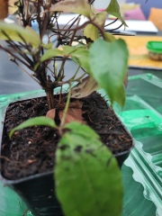 Spot the difference - J Parkers warning