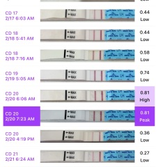 Help needed! Understanding LH vs symptoms vs temp