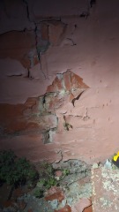 Exposed brick work causing damp