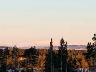 The Year Round Nigel Slater Discussion thread