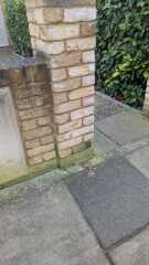 So much dog poo - what can be done?