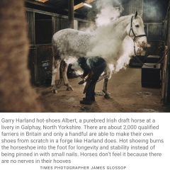 Archers thread #181: Panto Week's behind you! Was that the nadir? Discuss The Archers here.