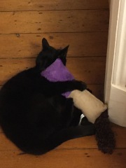 Lap dances, strippers and punch-ups - the Excellent Cats arrange a stag party