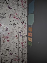 Which paint? Help!