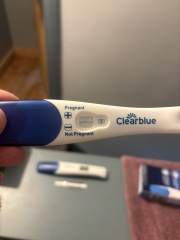 Clear blue rapid 1 minute