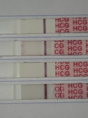 Am I out this cycle? Confusing positive OPK 13 DPO HPT BFN,