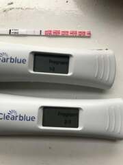 What is going on with these tests? Help please!