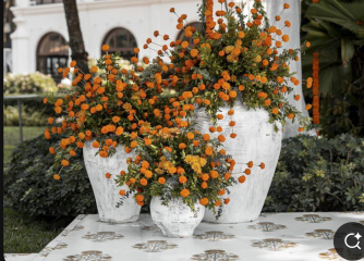 Pls hep me pick my wedding flowers?