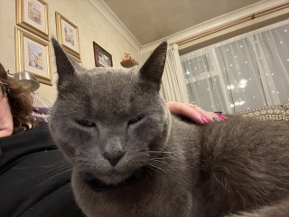 Lap dances, strippers and punch-ups - the Excellent Cats arrange a stag party