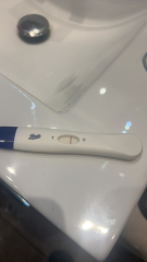 POAS come on you rainbows