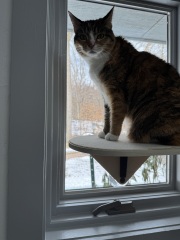 Come and tell us your dull and unexciting news 33: Calmly through the day