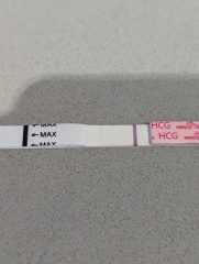 Evap line? Easy at Home