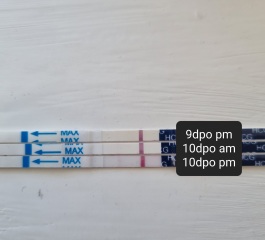 Line eyes please - 9 dpo