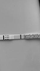 10dpo does anybody see it? X