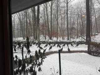 Come and tell us your dull and unexciting news 32: Calmly through the day