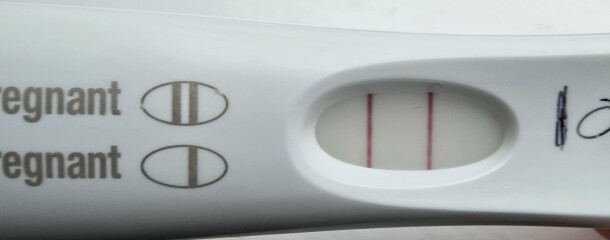 February/March FET