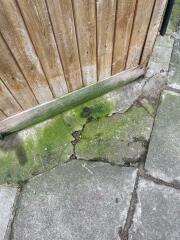 So much dog poo - what can be done?