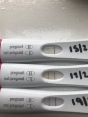 What is going on with these tests? Help please!