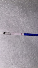 Ovulation strip positive or not??