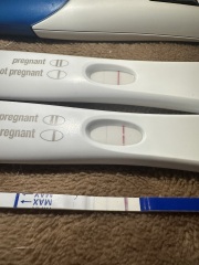 Positive home pregnancy test results (I think), but digital test negative