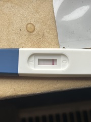 Can anyone help please? Regarding how far along i an
