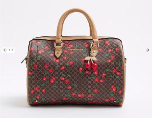 Would you use this bag even it similar to LV?