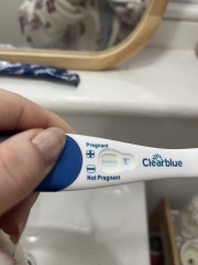 Am I pregnant ?