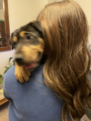 Getting a puppy. What to call her?!