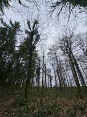 The Nigel Slater Christmas Chronicles Readalong 2024 Part 3