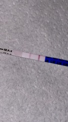 Ovulation strip positive or not??