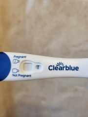 46 peri or pregnant?
