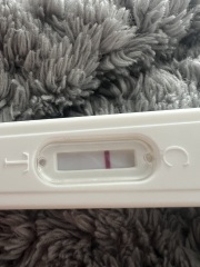 Evap/Indent line?