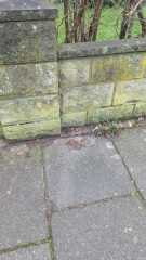 So much dog poo - what can be done?