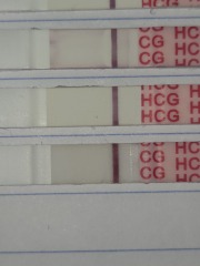 Am I out this cycle? Confusing positive OPK 13 DPO HPT BFN,
