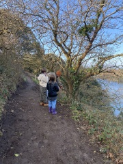 Cancer Support Thread 96: It’s nearly Christmas - get the sprouts on.