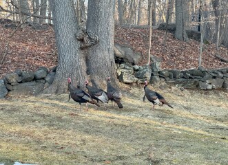 Come and tell us your dull and unexciting news 33: Calmly through the day