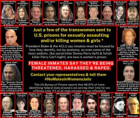 Anyone else think Trump will ultimately do more damage to the gender critical cause?