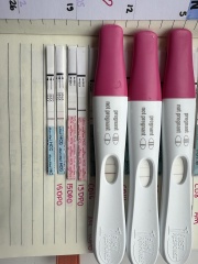 Are these lines too faint for 15 dpo?